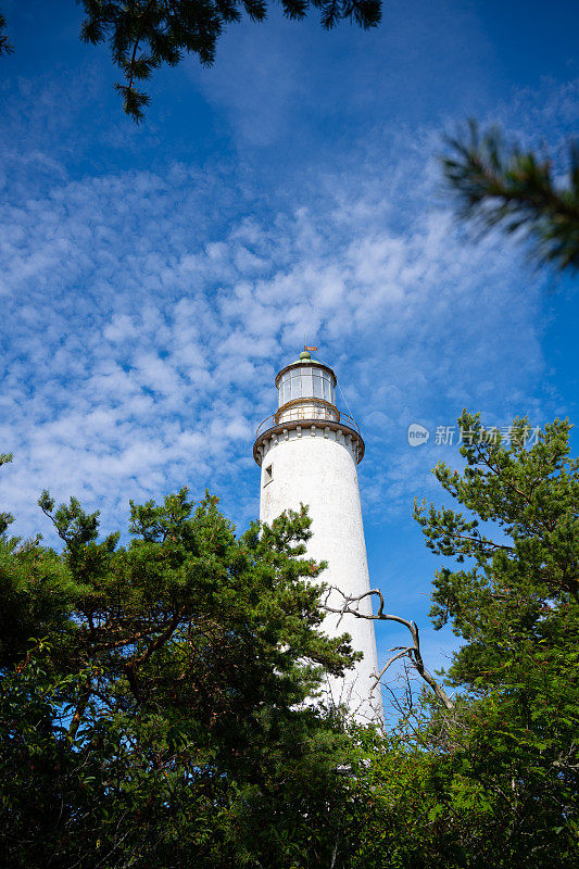 Fårö Fyr，法罗灯塔在树后，湛蓝的天空，从下面看